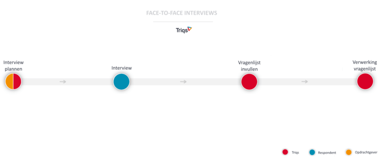 dataverzameling face-to-face interviews