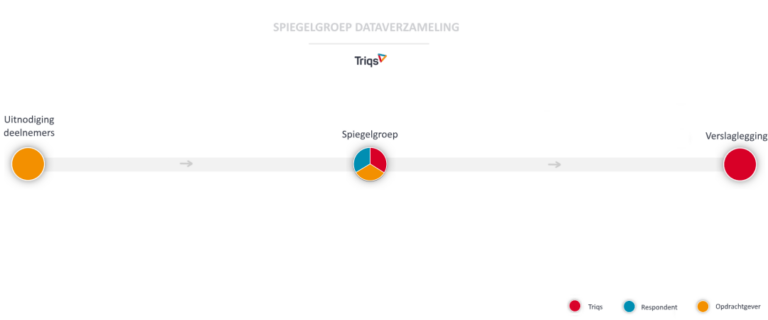 Spiegelgroep